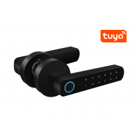 Chytrý dveřní zámek/klika |Zoneway D100-BT