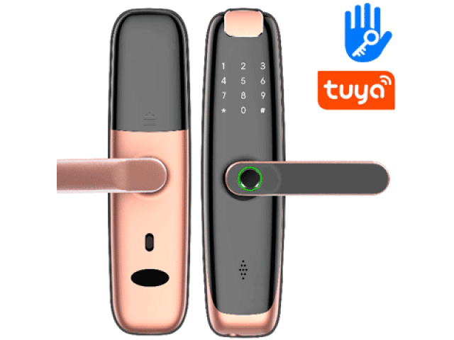 Inteligentný TUYA Bluetooth  MIFARE  zámok s odtlačkom | ZONEWAY iLock02